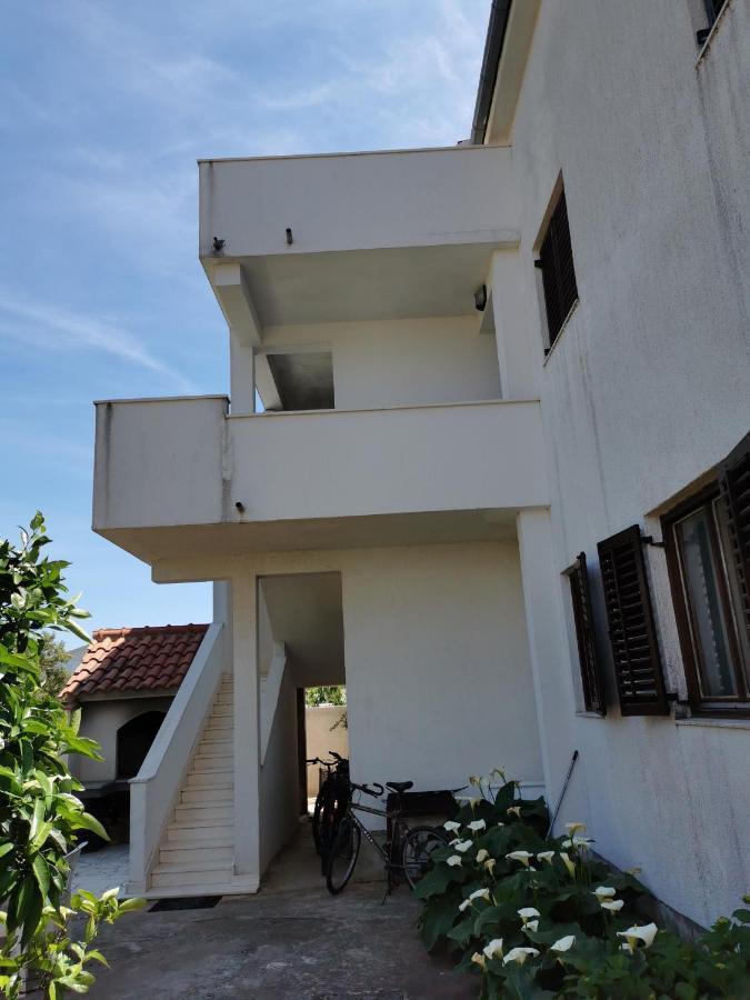 Bugenvila Rogoznica  Kültér fotó